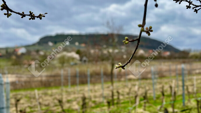 10. kép | Eladó Nyaraló, Somlóvásárhely (#178989)