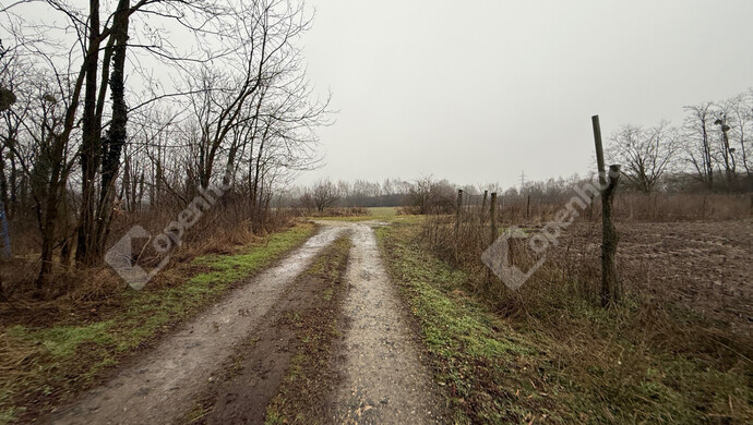 15. kép | Eladó Telek, Zalaegerszeg (#179597)