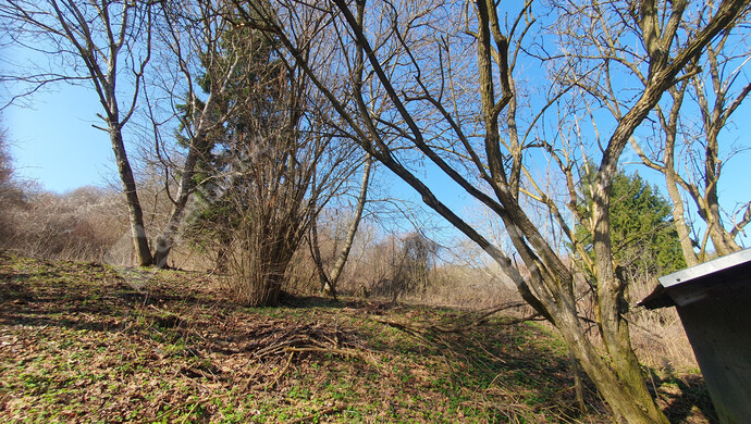 33. kép | Eladó Nyaraló, Homokkomárom (#180257)