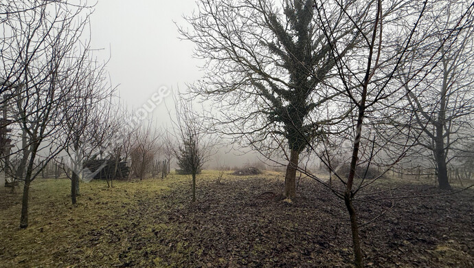 7. kép | Eladó Telek, Gyűrűs (#179594)