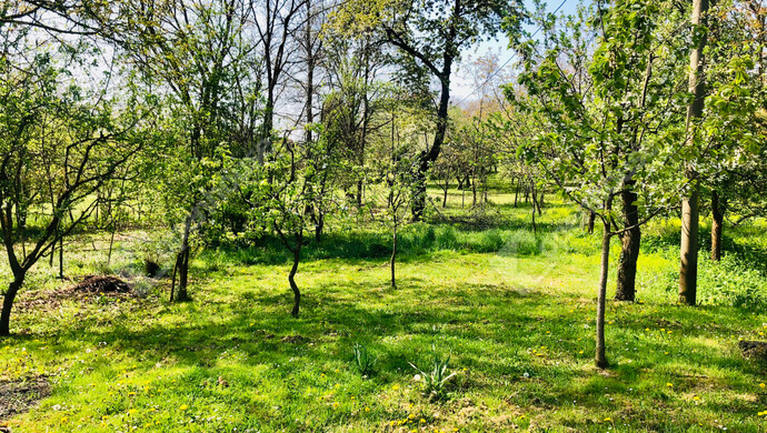 30. kép | Eladó Nyaraló, Murakeresztúr (#181161)