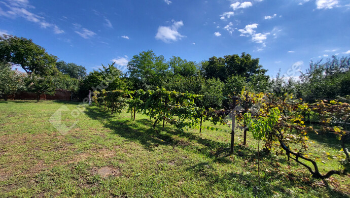 13. kép | Eladó Családi ház, Sajólád (#176979)