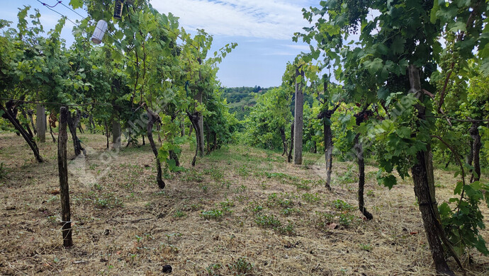 22. kép | Eladó Nyaraló, Homokkomárom (#174607)