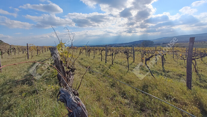 5. kép | Eladó Telek, Harka (#177346)