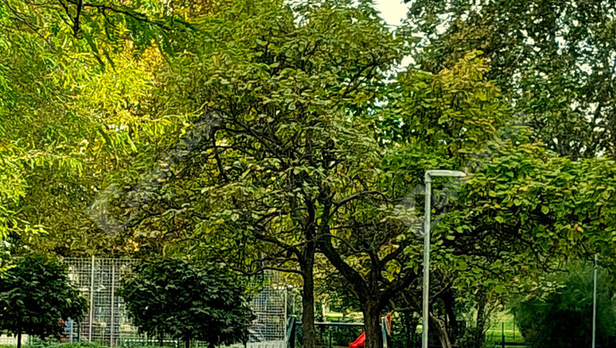 21. kép | Eladó Társasházi lakás, Budapest XVIII. Ker. (#178025)