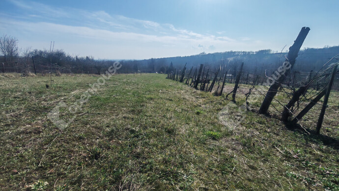 12. kép | Eladó Nyaraló, Becsehely (#180205)