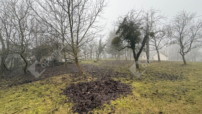 8. kép | Eladó Telek, Gyűrűs (#179594)