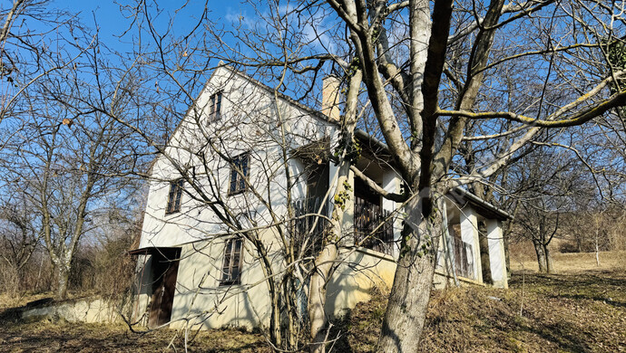 0. kép | Eladó Családi ház, Hollád (#177734)