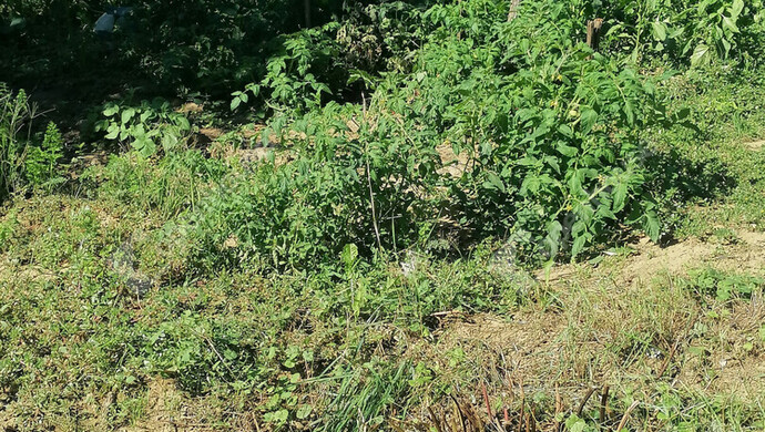 24. kép | Eladó Nyaraló, Nagykapornak (#177333)