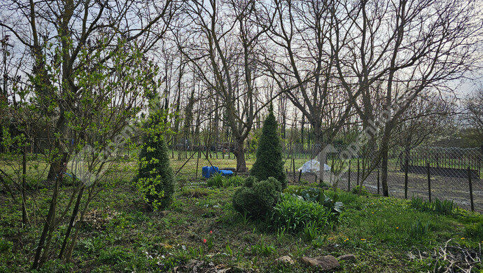 23. kép | Eladó Családi ház, Szőlősgyörök (#179158)