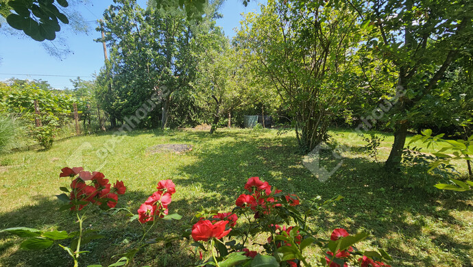 23. kép | Eladó Családi ház, Balatonboglár (#179076)