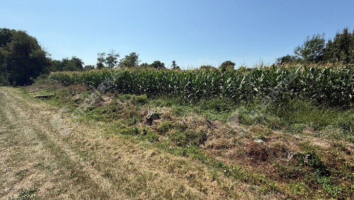 6. kép | Eladó Telek, Nagykutas (#176517)