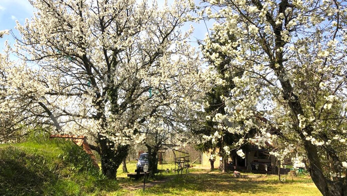 33. kép | Eladó Családi ház, Balatonszárszó (#177695)