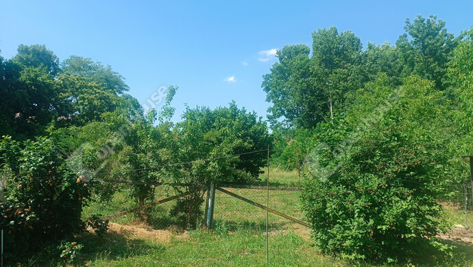 26. kép | Eladó Családi ház, Marcali (#177784)