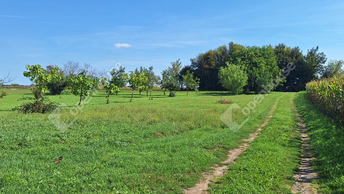 6. kép | Eladó Családi ház, Öreglak (#177855)