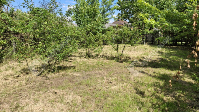 26. kép | Kert | Eladó Családi ház, Barcs (#176095)