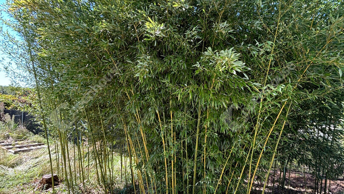 1. kép | Eladó Családi ház, Győr (#176885)