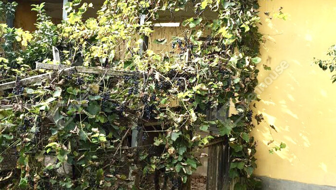 9. kép | Eladó Családi ház, Bedegkér (#176940)