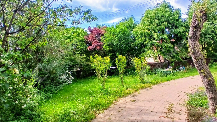 41. kép | Eladó Családi ház, Zalaegerszeg (#181501)