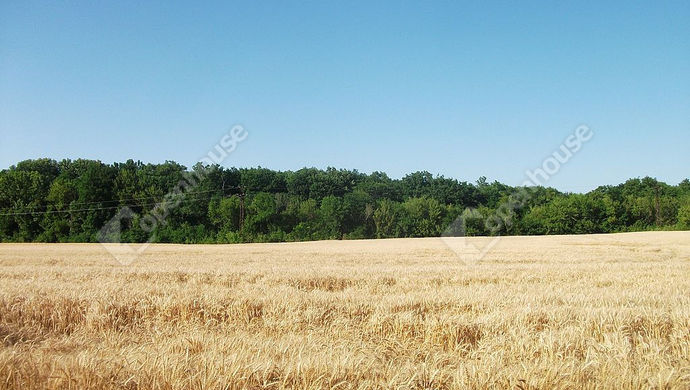 0. kép | Eladó szántó, legelő. | Eladó Mezőgazdasági, Székesfehérvár (#153279)