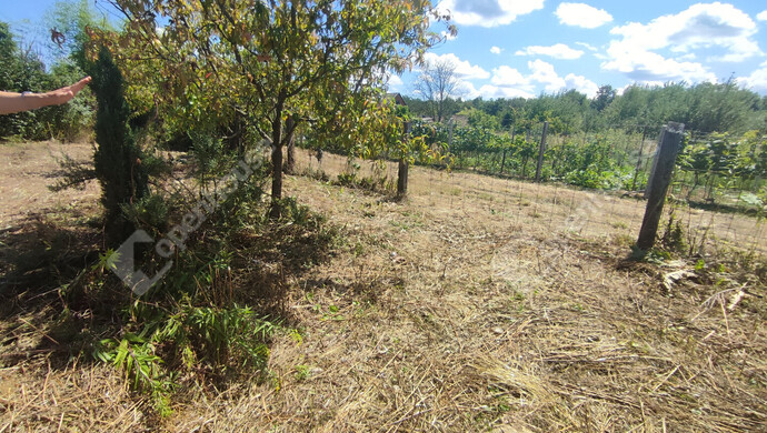 38. kép | Eladó Nyaraló, Szepetnek (#176202)