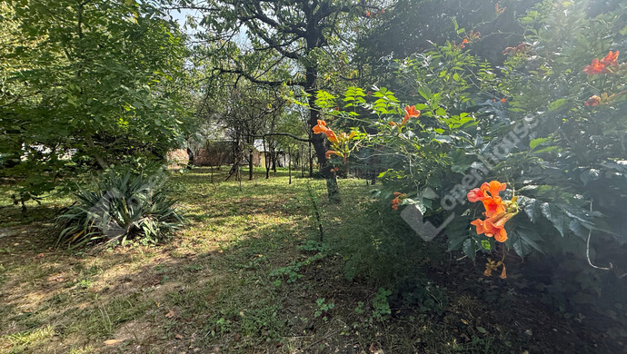 27. kép | Eladó Családi ház, Becsvölgye (#176934)