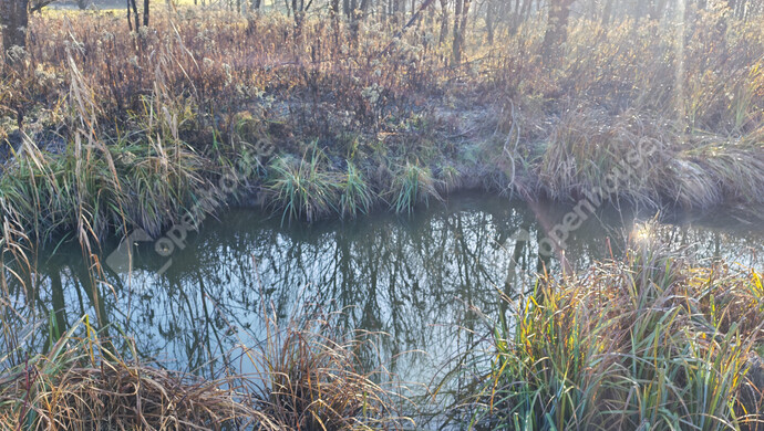 18. kép | Eladó Telek, Kiscsehi (#178890)