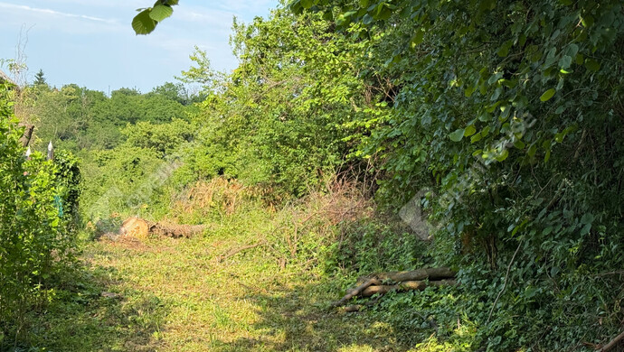 1. kép | Eladó Telek, Zalaegerszeg (#172819)