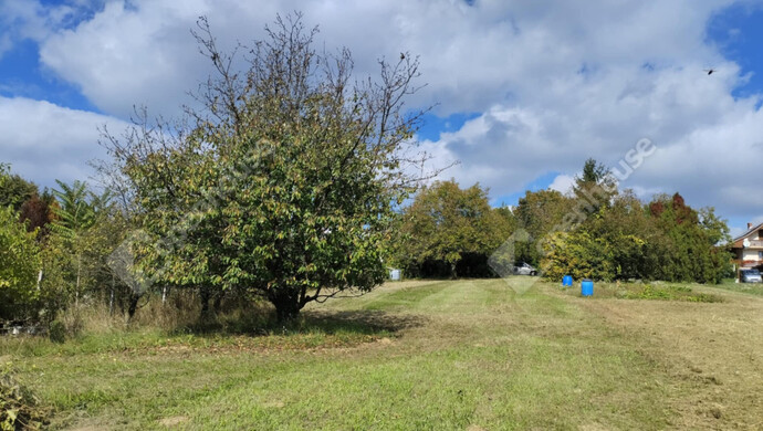 5. kép | Eladó Telek, Zalaegerszeg (#177303)