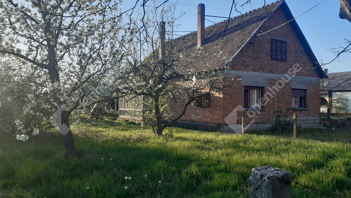 68. kép | Eladó Családi ház, Belezna (#180874)