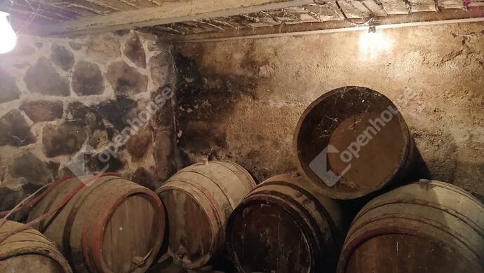 23. kép | Eladó Családi ház, Buzsák (#177690)