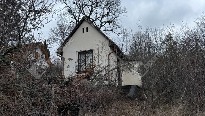 0. kép | Eladó Telek, Szentendre (#180010)