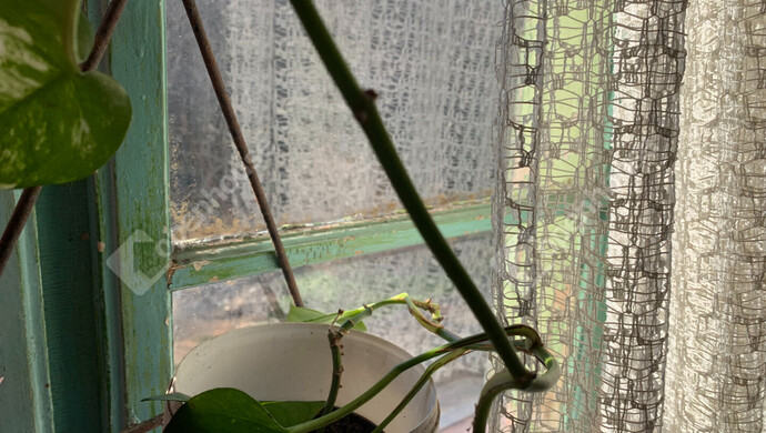 95. kép | Eladó Nyaraló, Homokkomárom (#179898)