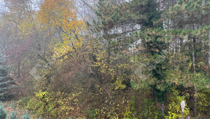 18. kép | Eladó Családi ház, Sopron (#178371)