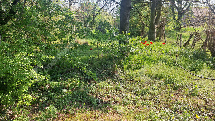 12. kép | Eladó Családi ház, Újkér (#181156)