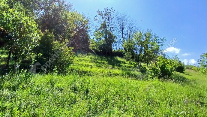 33. kép | Eladó Telek, Zalaegerszeg (#182105)