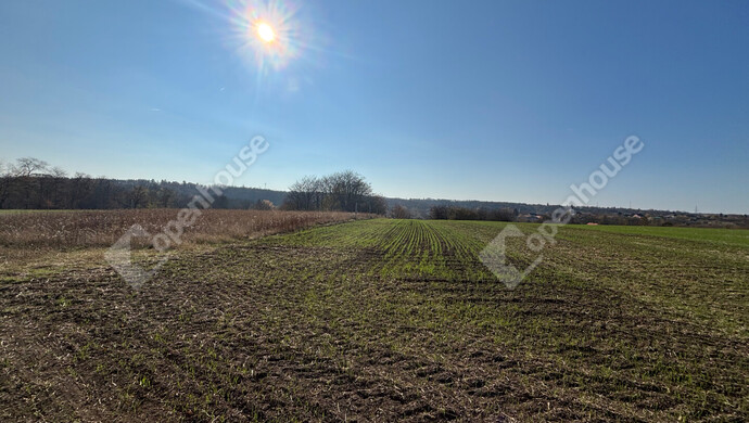 1. kép | Eladó Telek, Gomba (#178274)