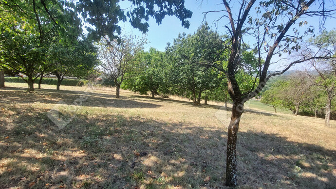 10. kép | Telek | Eladó Telek, Zalaegerszeg (#175765)