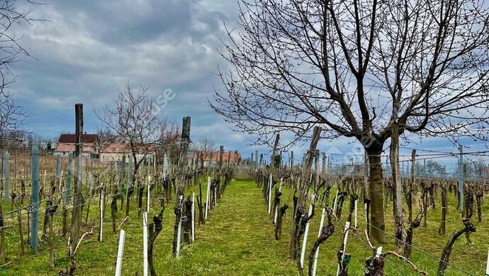 7. kép | Eladó Nyaraló, Somlóvásárhely (#178989)