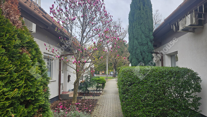 0. kép | Eladó Sorház, Mosonmagyaróvár (#180965)