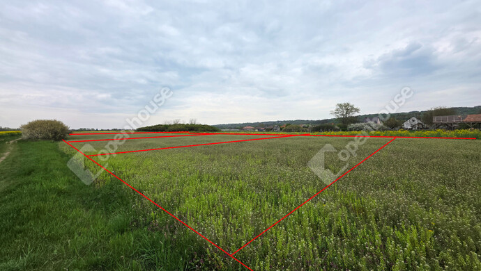 9. kép | Eladó Telek, Mályi (#181150)