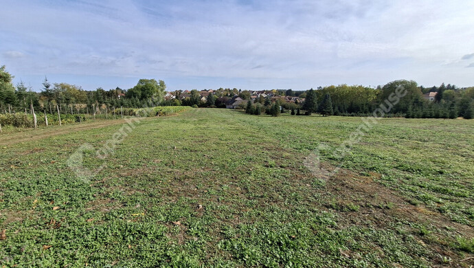 3. kép | Eladó Telek, Nagykanizsa (#184744)