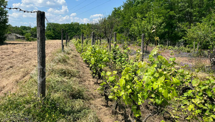 1. kép | Eladó Telek, Kecskemét (#178778)