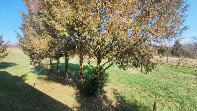 66. kép | Eladó Nyaraló, Becsehely (#180205)