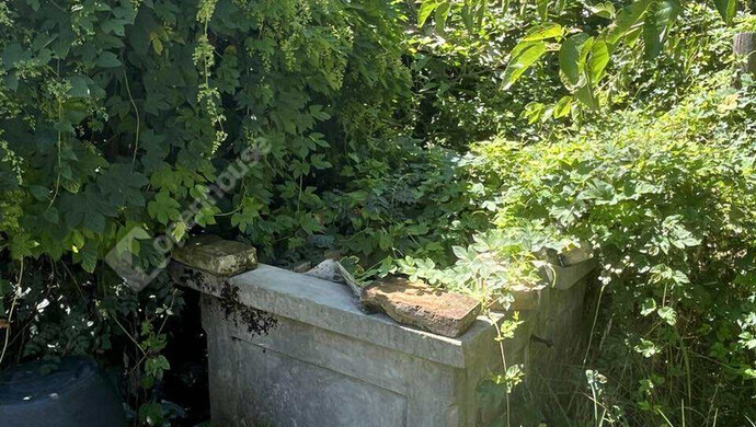 4. kép | Eladó Családi ház, Szenta (#176429)