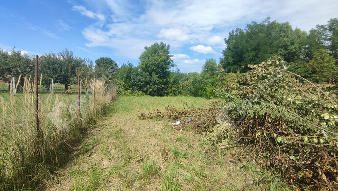 36. kép | Eladó Családi ház, Zalakomár (#176898)