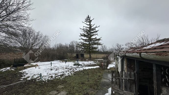 4. kép | kút, melléképületek és tároló a telken | Eladó Családi ház, Zámoly (#179121)