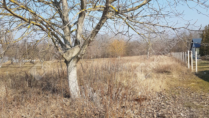 2. kép | Eladó Telek, Szeged (#173684)