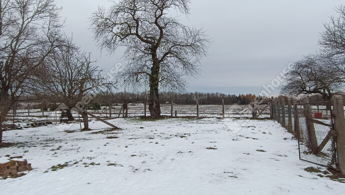 25. kép | Eladó Családi ház, Nagykanizsa (#178678)