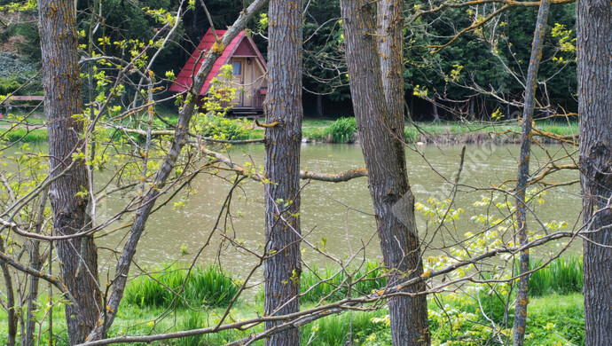 46. kép | Eladó Családi ház, Ötvöskónyi (#181241)